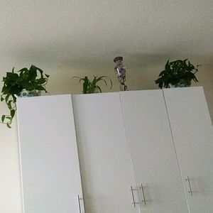 Meet your Posher, Faridah